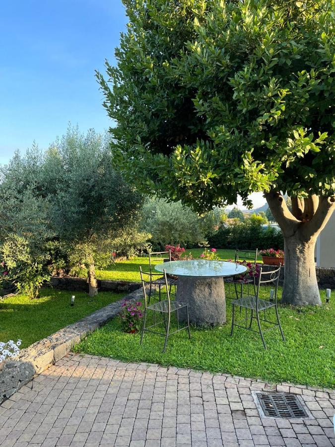 La Casa Dell'alloro *