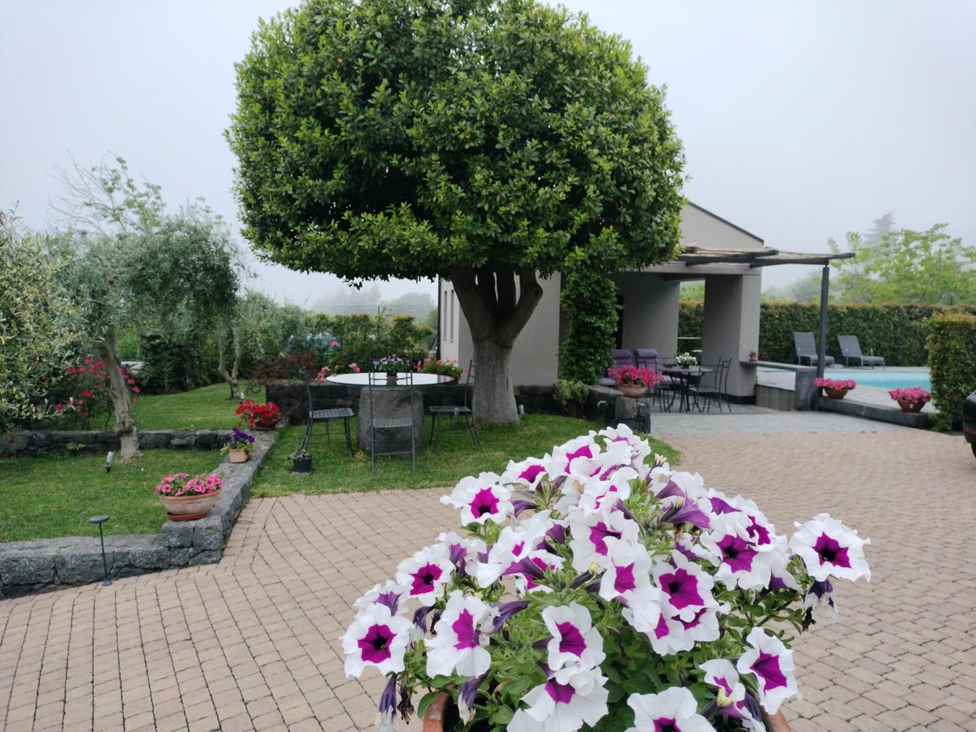 La Casa Dell'alloro Frühstückspension *